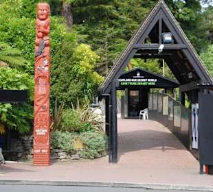 Вход в пещеру Вайтомо.