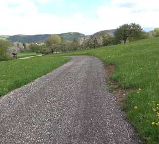 Naturerlebnisweg des NABU-Metzingen