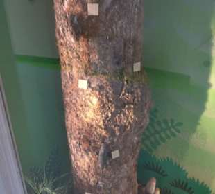 Museum für Naturkunde