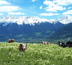 Wandern Sesvennahütte Mals/Malles Venosta