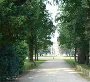 Zufahrt zum Haus Doorn