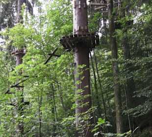 Natur-Hochseilgarten Triberg