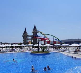 Butterfly swimming pool