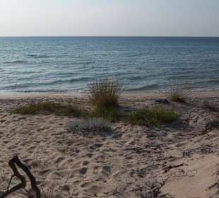 Blick zurück zum Strand
