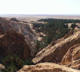 Bergoase Ausblick in die Weite