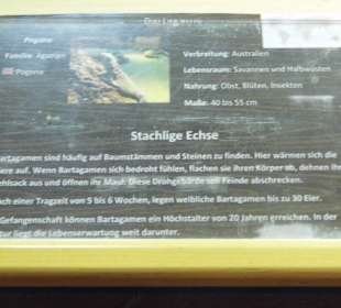 WildparkImpression September 2013