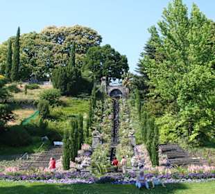 Insel Mainau