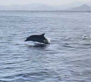 Ägypten Ausflüge - Book Tour Egypt