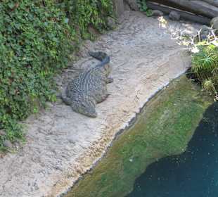 Wo bleibt mein Essen?