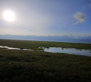 Abenddämmerung im Ngorongoro 