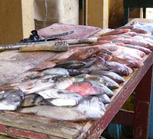 Fischstand in Higüey