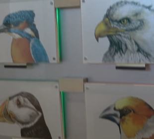 Jura-Museum