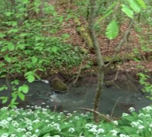 Naturpark Schönbuch