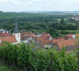 Escherndorf: Eindrücke einer Weinbergeswanderung
