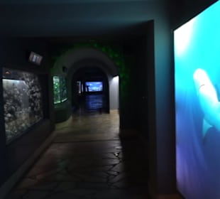 Tierpark Hellabrunn - Fische