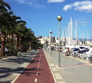 Radweg entlang des Hafens in Palma