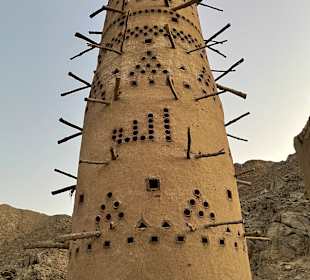 Quad Tour Marsa Alam
