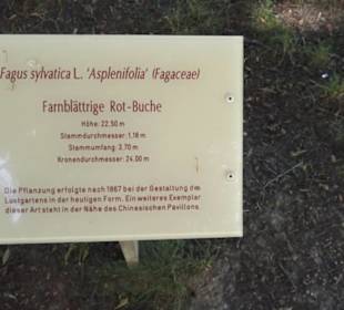 Lustgarten