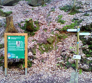 Wanderweg Sagenhafter Waldpfad Landstuhl