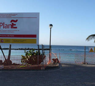 Playa Flamingo