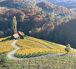 Wandern Ratsch an der Weinstraße
