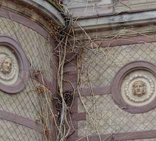 Schloss Karlsruhe Botanischer Garten