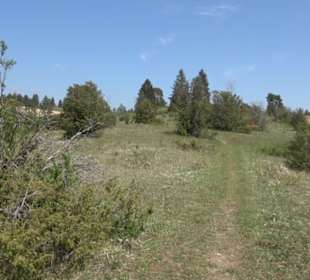 Premiumwanderweg Hochgehschätzt