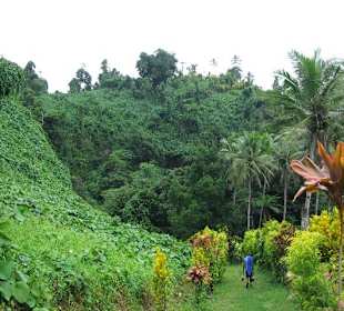 Ausflug zu den Tavoro Wasserfällen