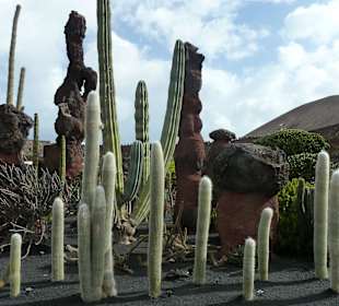 Kakteen und Lavastelen