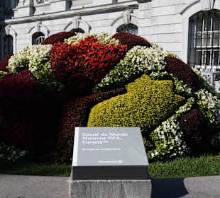 Pflanzenkunst vor dem Rathaus