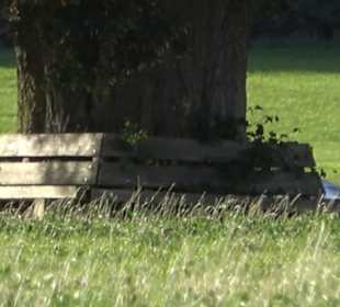 Friedenseiche Kohlstetten