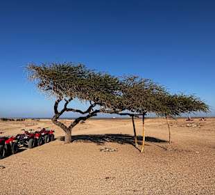 Quad Tour Marsa Alam