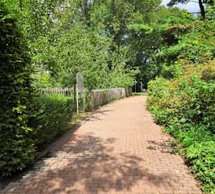 Rundgang durch den Botanischen Garten