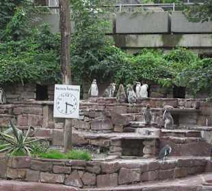 Impressionen aus dem Zoo Karlsruhe