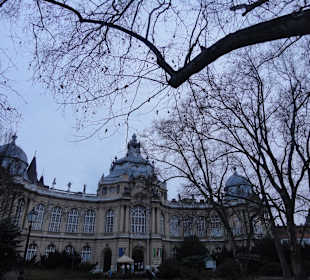 Burganlage Vajda-Hunyad