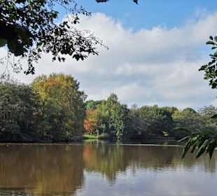 Impressionen vom Spaziergang am Drielaker See