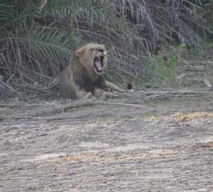 Etwas zunahe gegangen