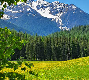 Wandern Matrei in Osttirol