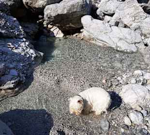 Am Eisbach, das schmeckt...