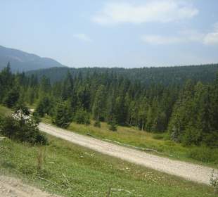 Parcul Natural Apuseni