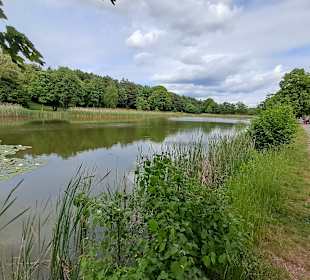 Seewoog in Ramstein-Miesenbach