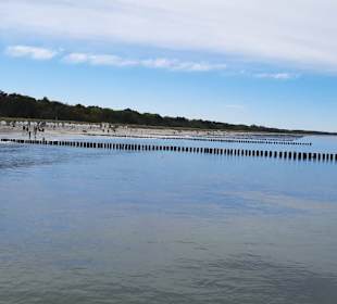 Strand Zingst