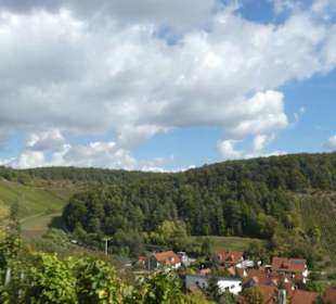 Ramsthal: terroir f und Ausblick