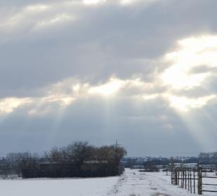 Wandern Ingelheim am Rhein