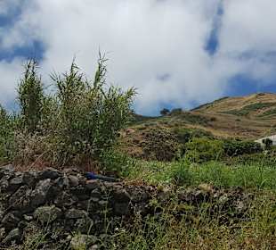 Ausflug Gran Canaria Spezial 