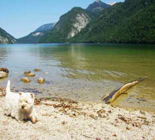 Da Spazieren viele entlang