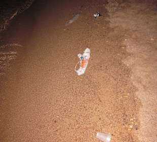 Spaziergang am Strand... nur Müll überall