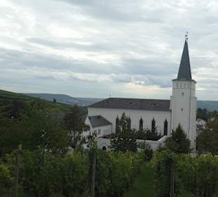 Bei einer Wanderung rund um Geisenheim