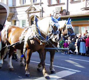 Wallenstein Festspielverein Altdorf