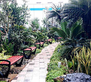 Kaktusgarten - Raucherzone